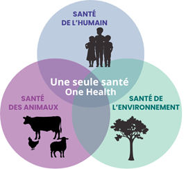 Une seule santé 45