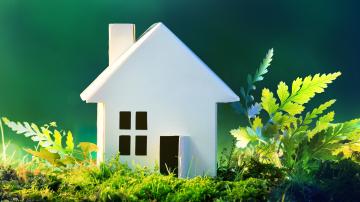 maison nature 